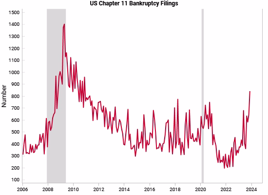 US Chapter 11 Bankruptcy Filings