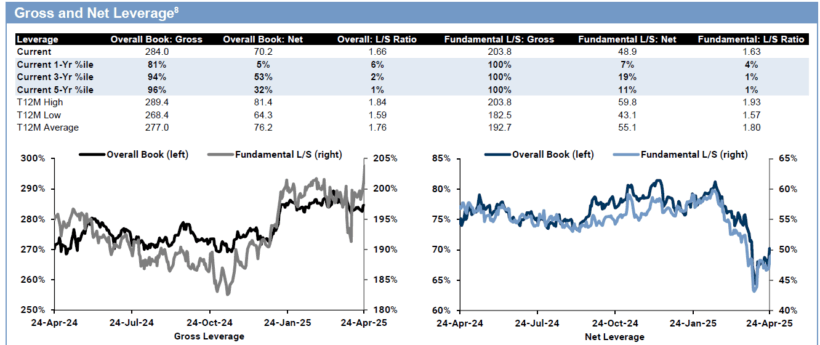 Gross and Net Leverage