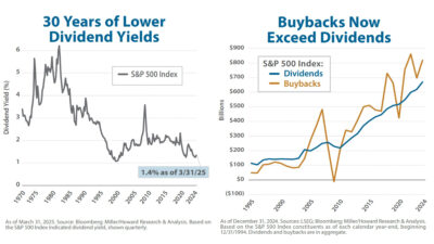 30 Years of Lower Dividend Yields