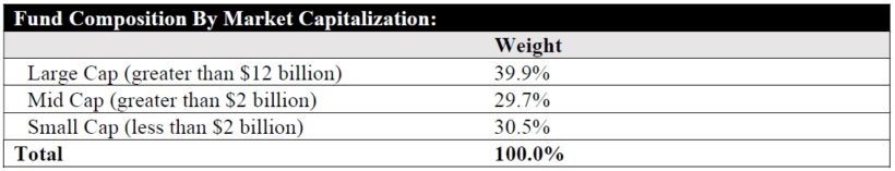 Fund Composition By Market Capitalization