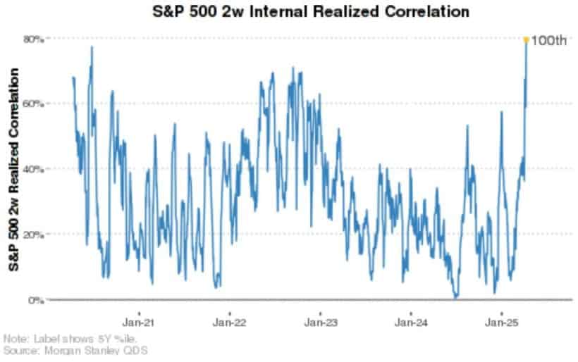 TMR Capital Q1 2025 Commentary 3 S&P 500 2w Internal Realized Correlation