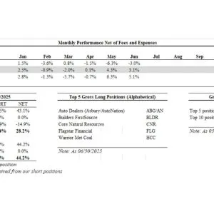 Black Bear Value Partners LP Monthly Performance