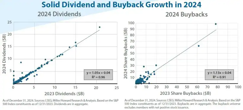 Solid Dividend and Buyback Growth In 2024