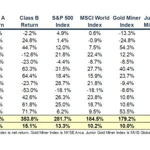 Hirschmann Capital Performance