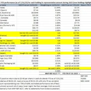 Mittleman Value Partners 2025 YTD Performance