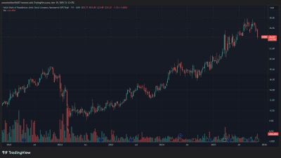 2025 Sohn London Conference ARR Investment Partners Christian Putz HSBK