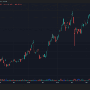 2025 Sohn London Conference Palliser Capital James Smith 6178
