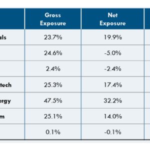 Hedge Fund Alpha 6 Apis Deep Value Fund Sector Exposure