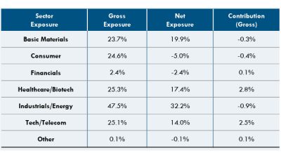 Apis Deep Value Fund Sector Exposure