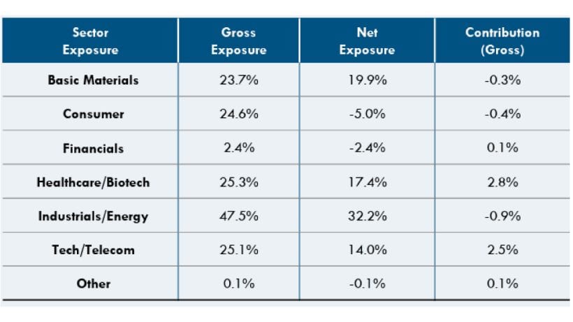 Apis Deep Value Fund Sector Exposure
