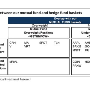 Overlap between our mutual fund and hedge fund baskets