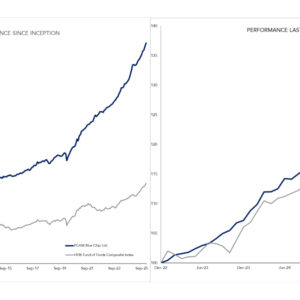 Prime Capital Performance Since Inception and Last 3 Years