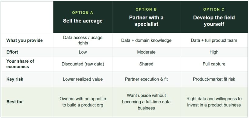Three Paths To Realize The Value Of Your Data